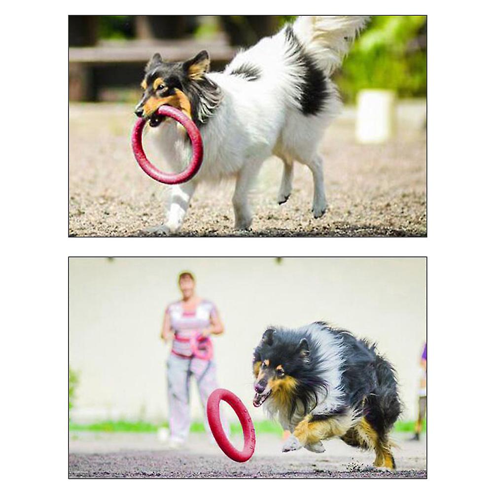 Pet Ring EVA Training Exercise Rings Dog Flying Discs Outdoor Floating Interactive Toy