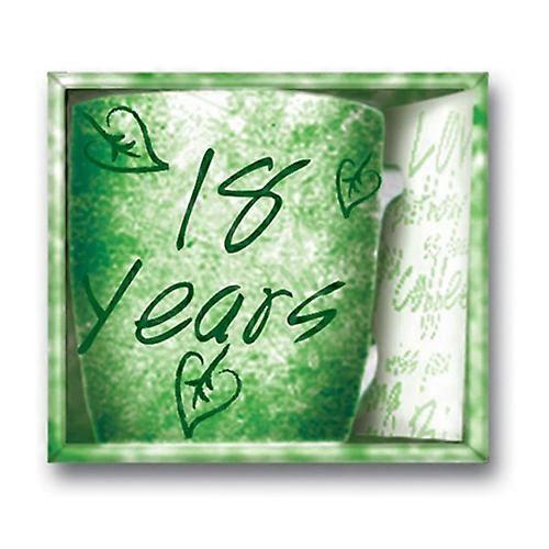 18 Miko Years Inside Out Mug Premium Quality and Stylish Designed Ceramic Mug
