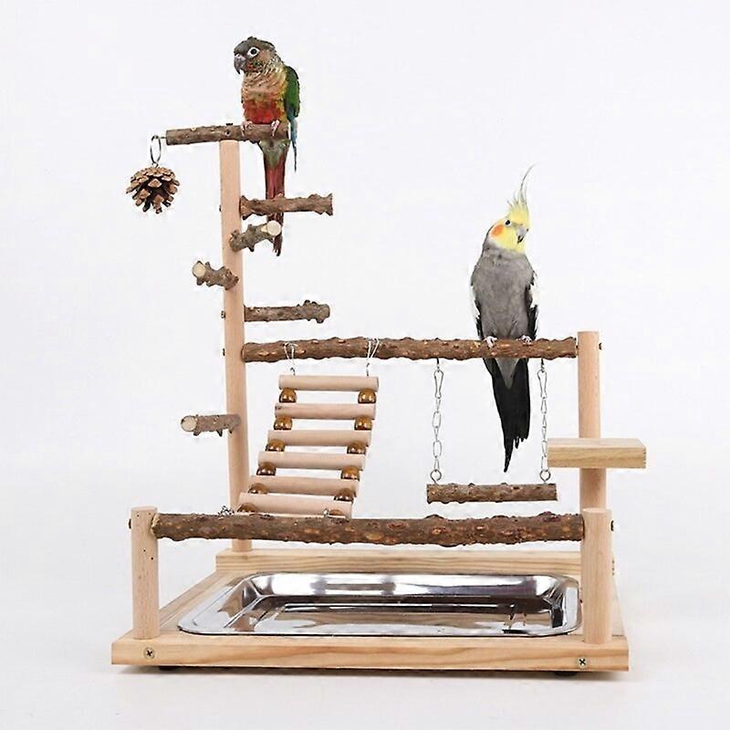 Illustration of Parrot Large Swing And Playground Equipment