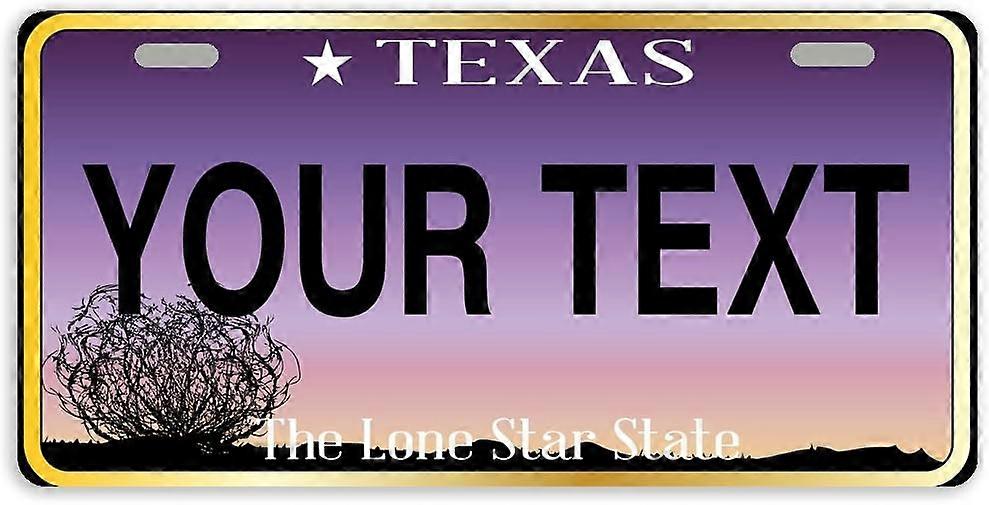 Tampa de Placa de Licença de Carro de Metal do Estado do Texas com 2 Furos 11.8 x 6.1 Polegadas