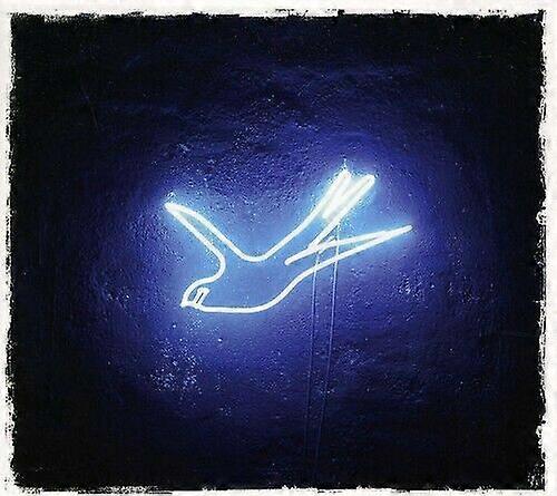 Ollabelle Neon Blue Bird CD