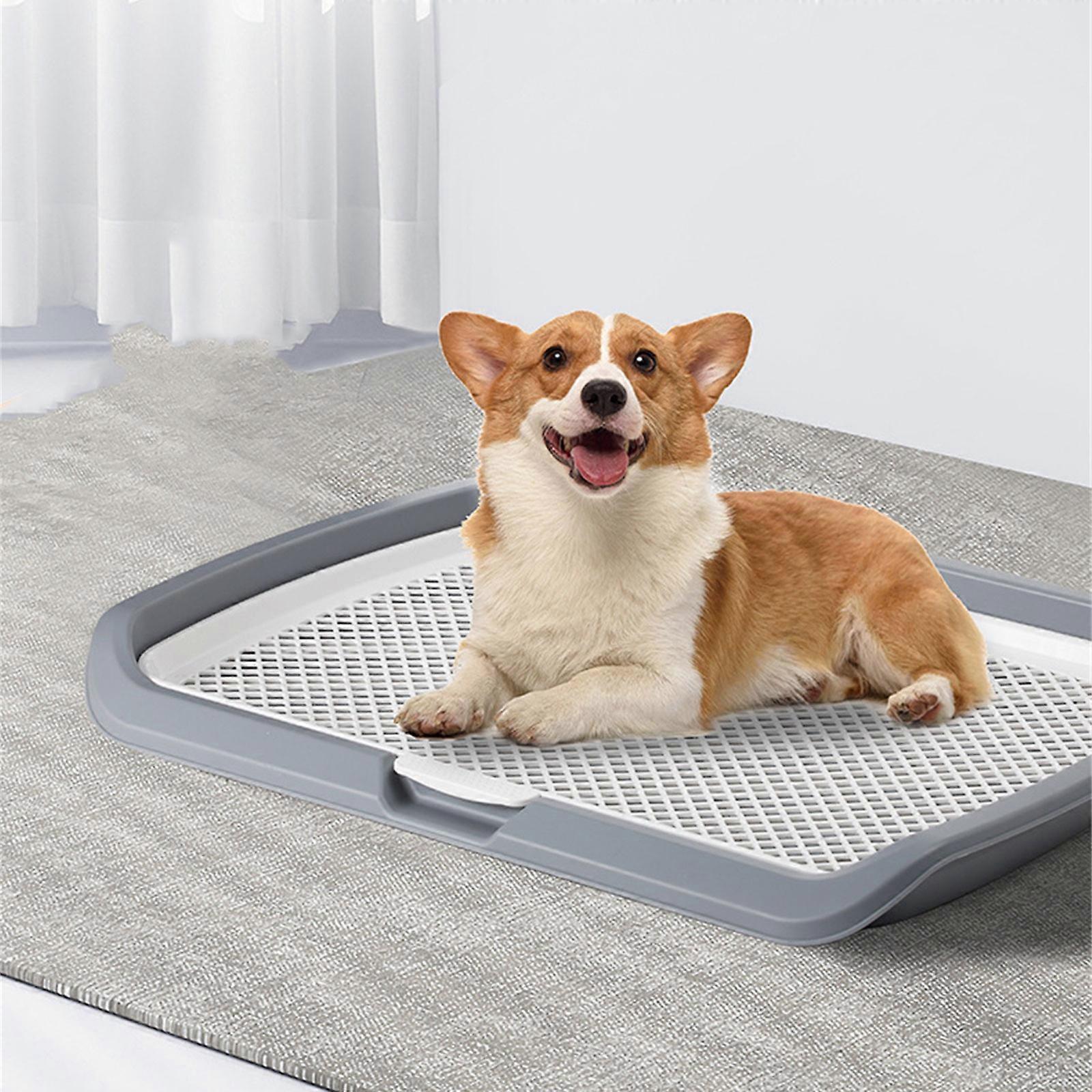 Male Dog Restroom Toilet With Post Structure Minimizes Odor Durable And Easy To Clean Training Toilet Yellow