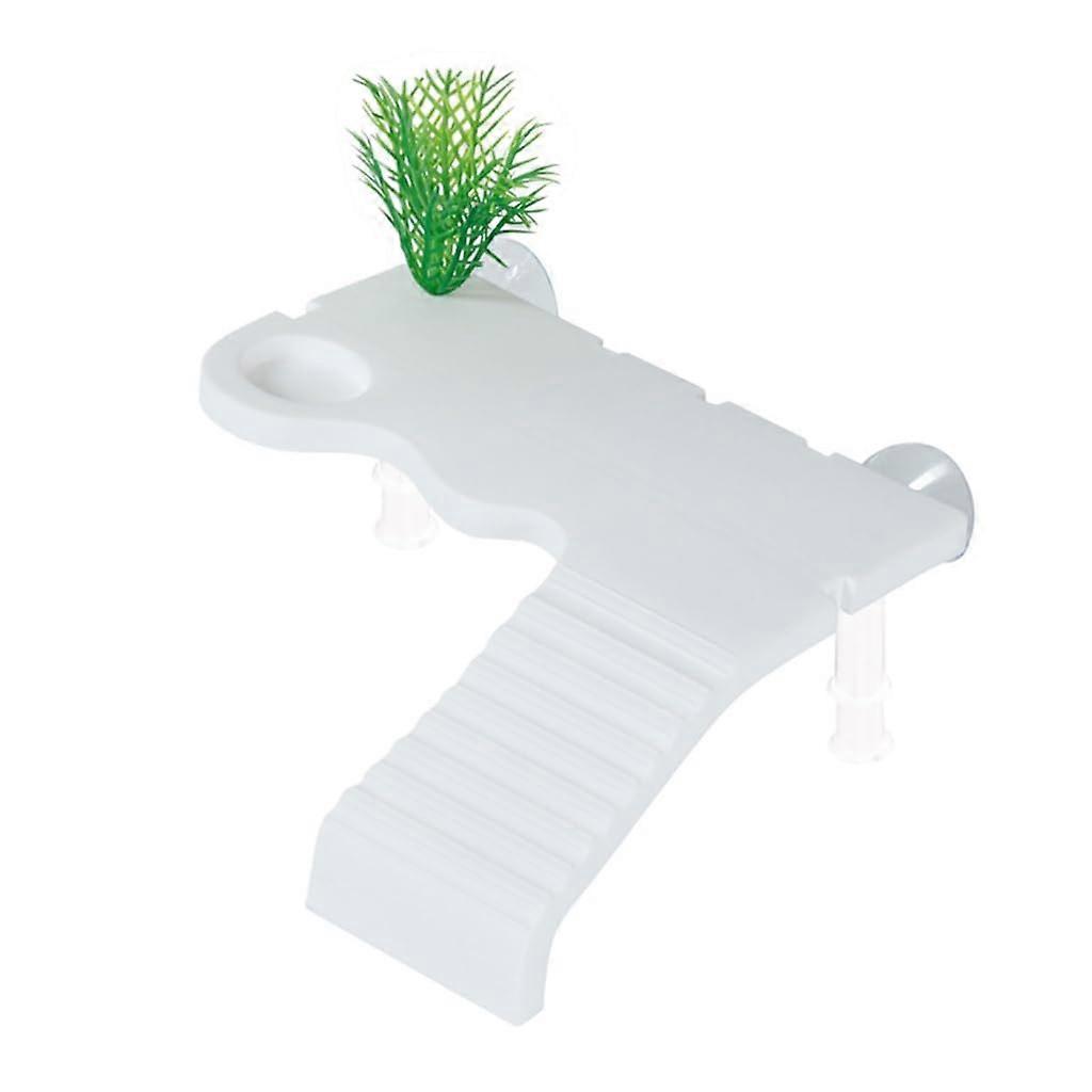 Durable Plastomer Turtle Platform, Easy Installation, White Sun Deck for Safe Sunbathing and Play, Suitable for All Turtle Sizes