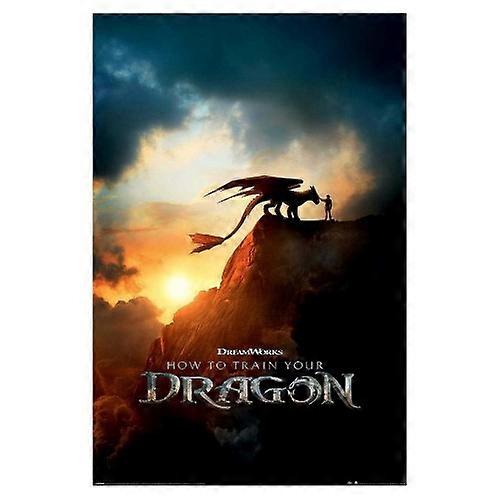 How To Train Your Dragon Movie Poster Print