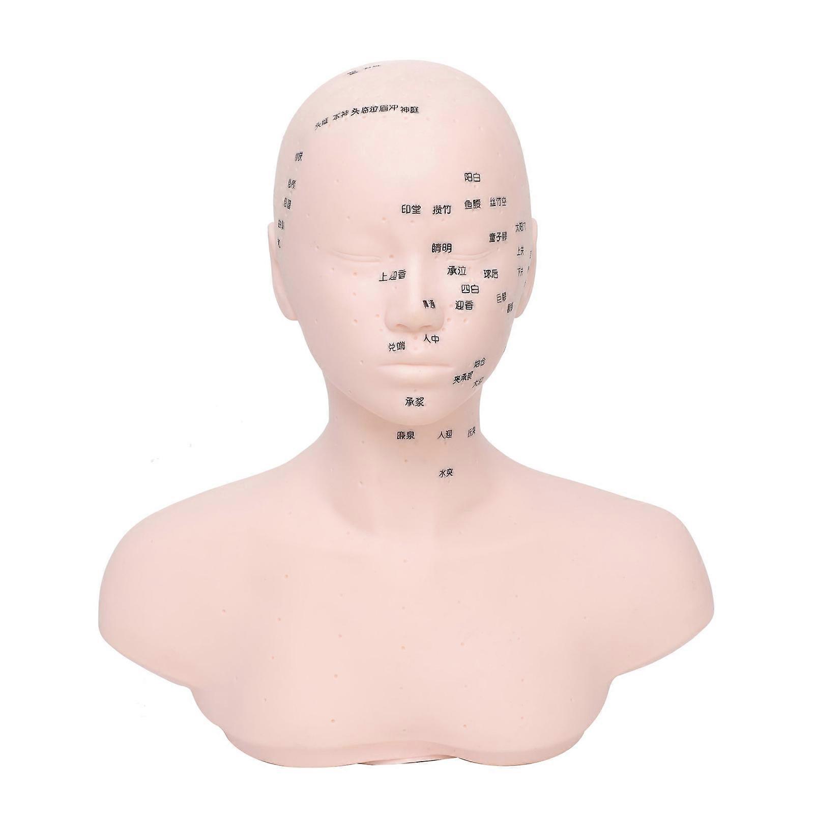 Beauty Training Head Sculpture With Defined Pressure Points For Makeup Arts And Spa Techniques Multi Purpose Multicolor