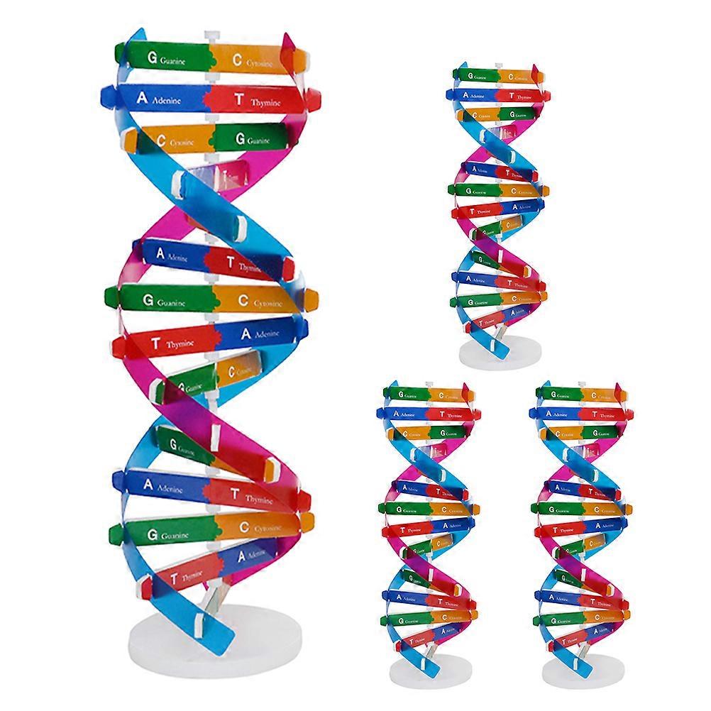 Educational Dna Structure Toy Human Genes Set 4Pcs