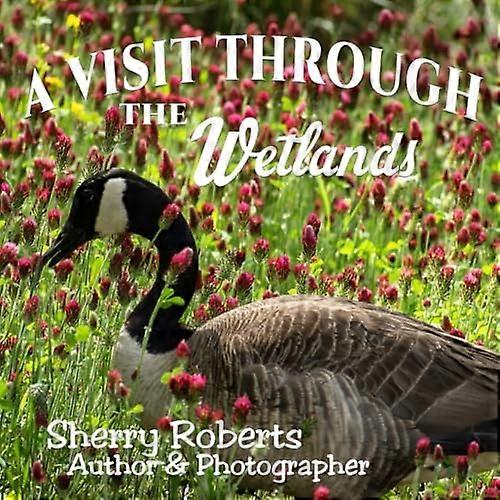 Visit Through the Wetlands