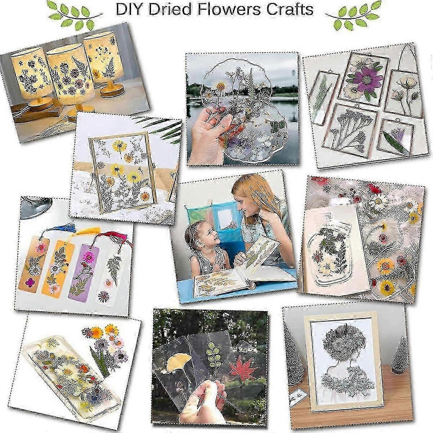 Kit De Pressage De Fleurs DIY 30x21cm : Le Matos Parfait Pour Adultes Et Artistes En Herbe