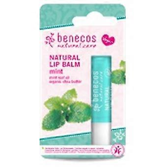 Mint Lip Balm 4,8 g