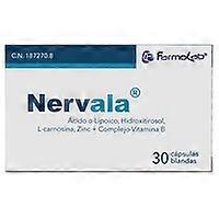 Antioxidant nerve 30 capsules