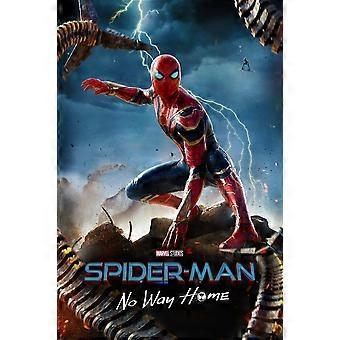 Spider-Man: No Way Home 2021 Film-Puzzle FSX-039