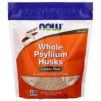 2 x NOW Foods, Whole Psyllium Husks, 16 oz (454 g)