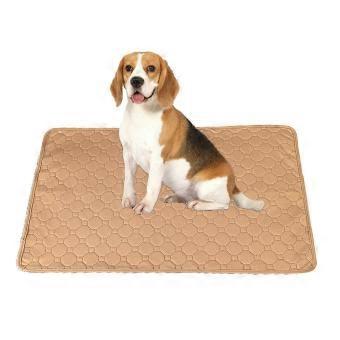 Breathable Reusable Dog Training Pads