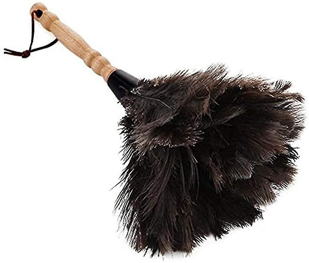 Feather Duster Ostrich Bamboo   Feather Duster Ostrich