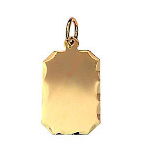 9ct Gold 18x12mm diamond cut edge rectangular Disc