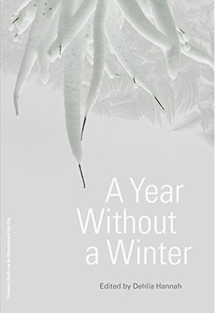 A Year Without A Winter by Dehlia Hannah Paperback