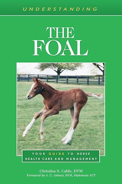 Understanding The Foal by Christina S. Cable Paperback Book