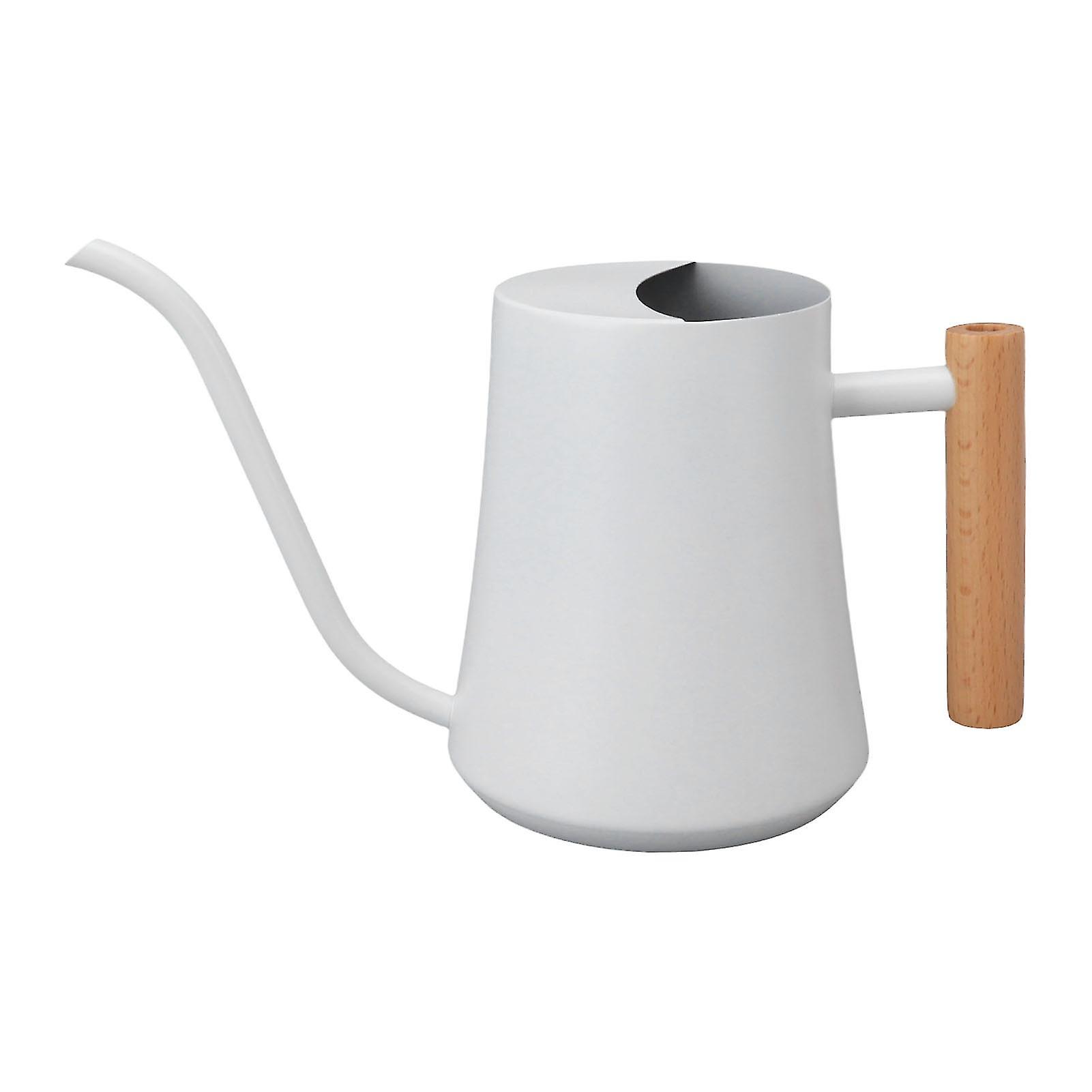 Retro Stainless Steel Watering Can with Wooden Handle for Indoor and Outdoor Use, 1000ml, White
