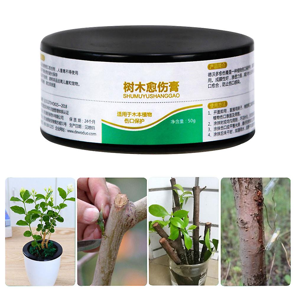 50g Plant Healing Sealant for Bonsai Trees, Wound Healing Agent Tree Pruning Paste, Effective Tree Care and Protection