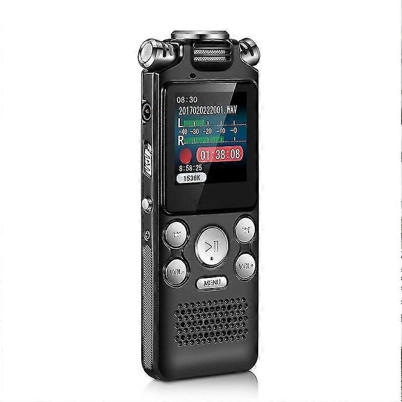 Professional digital recorder, long range, static, 32GB