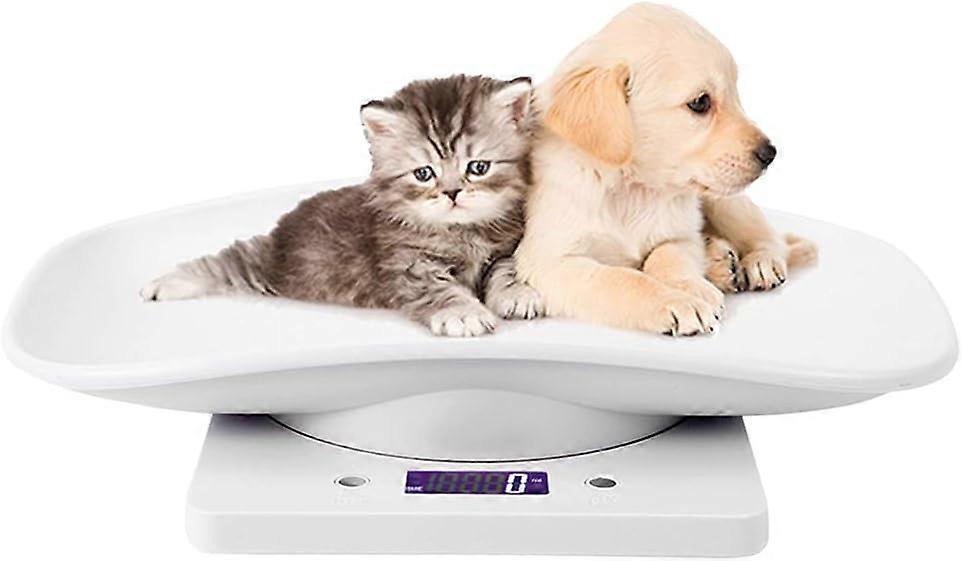 Electronic pet scale, small digital scale, 10kg/1g LCD scale, precision measurement and weighing tool