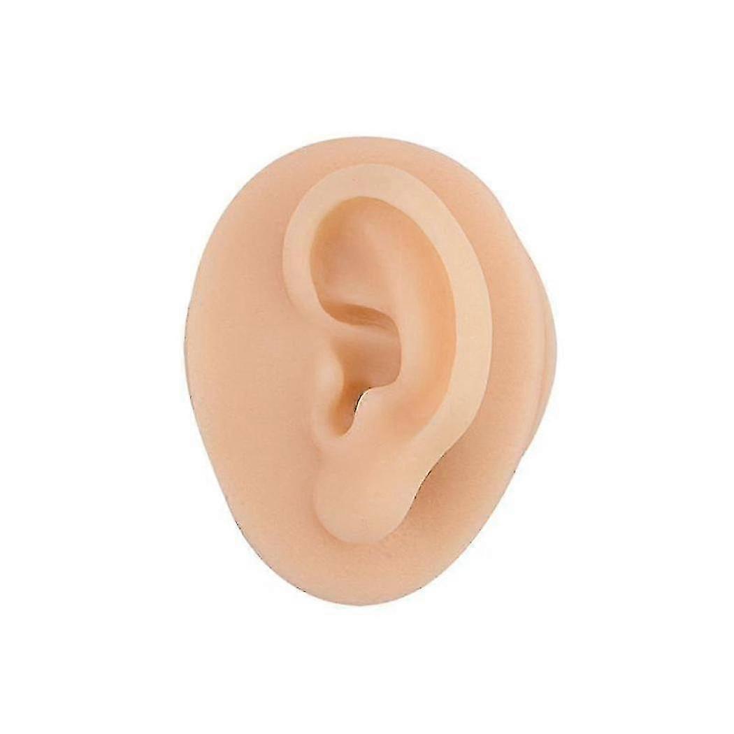 Soft Silicone Ear Model With Acrylic Stand, Flexible Ear Mold For Piercing Practice, Rubber Ear For