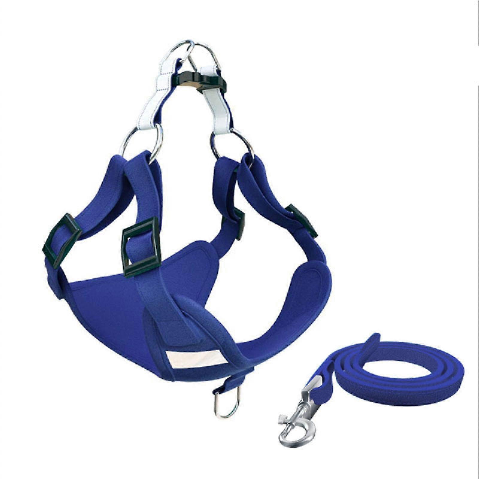 Reflective dog harness and leash set for small and mediumsized dogs, puppies, French Bulldog, Pug, size L, blue
