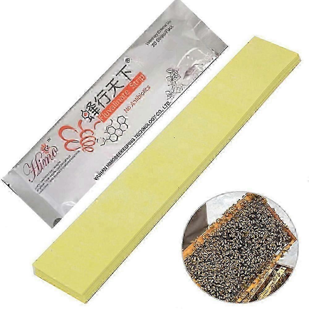 Varroa Strips Fluvalinate Bee Mite Killer Εργαλείο Θεραπείας Μελισσοκομία Έλεγχος παρασίτων Έλεγχος ακαρεοκτόνων Προϊόντα μελισσοκομίας HR