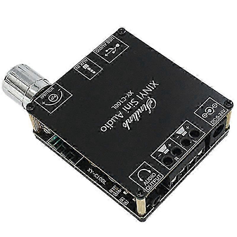 XY-C100L Bluetooth 5.0 Stereo Amplifier Board - 100WX2 HIFI Amplificador for Home Audio Use with AUX & USB
