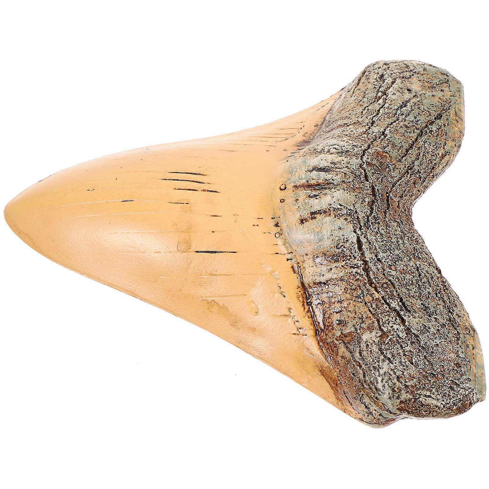 Prehistoric Resin Decoration for Desktop Display 2Pcs