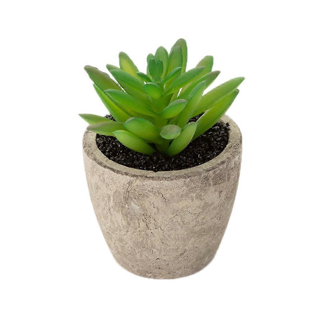 Fake Succulent 2Pcs Assorted Friendly Pulp Basin Succulent Ornament Basin for Decoration