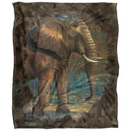 JQ Licensing Cf-Jp Silky Elephant Supersoft Blanket