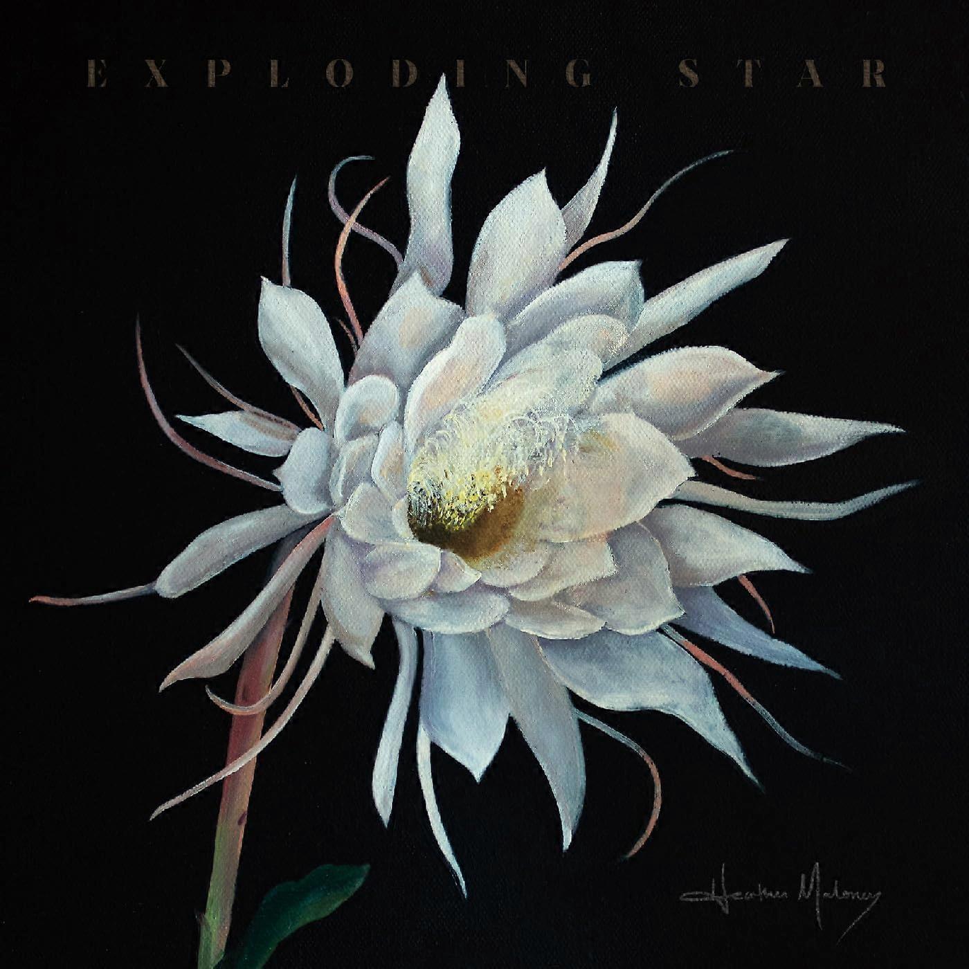 Heather Maloney - Exploding Star [CD]