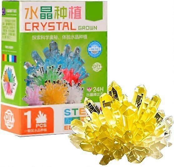 DIY Crystal Growing Kit  Educational Science Experiment Set, Hands-On Crystal