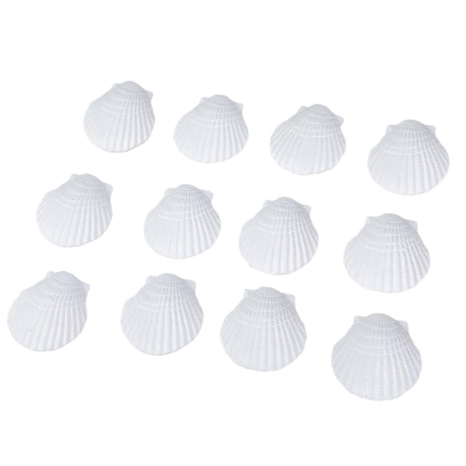 Durable Artificial Mini Desk Natural Beach Craft Collection Multicolor