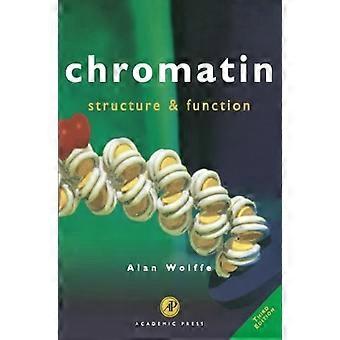Chromatin: Struktur und Funktion