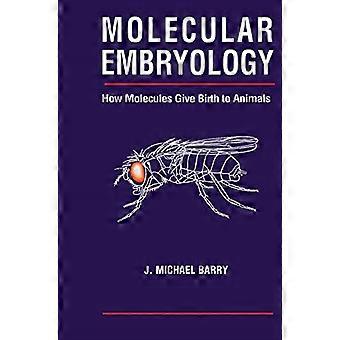 Molekylær embryologi: Hvordan molekyler føder dyr