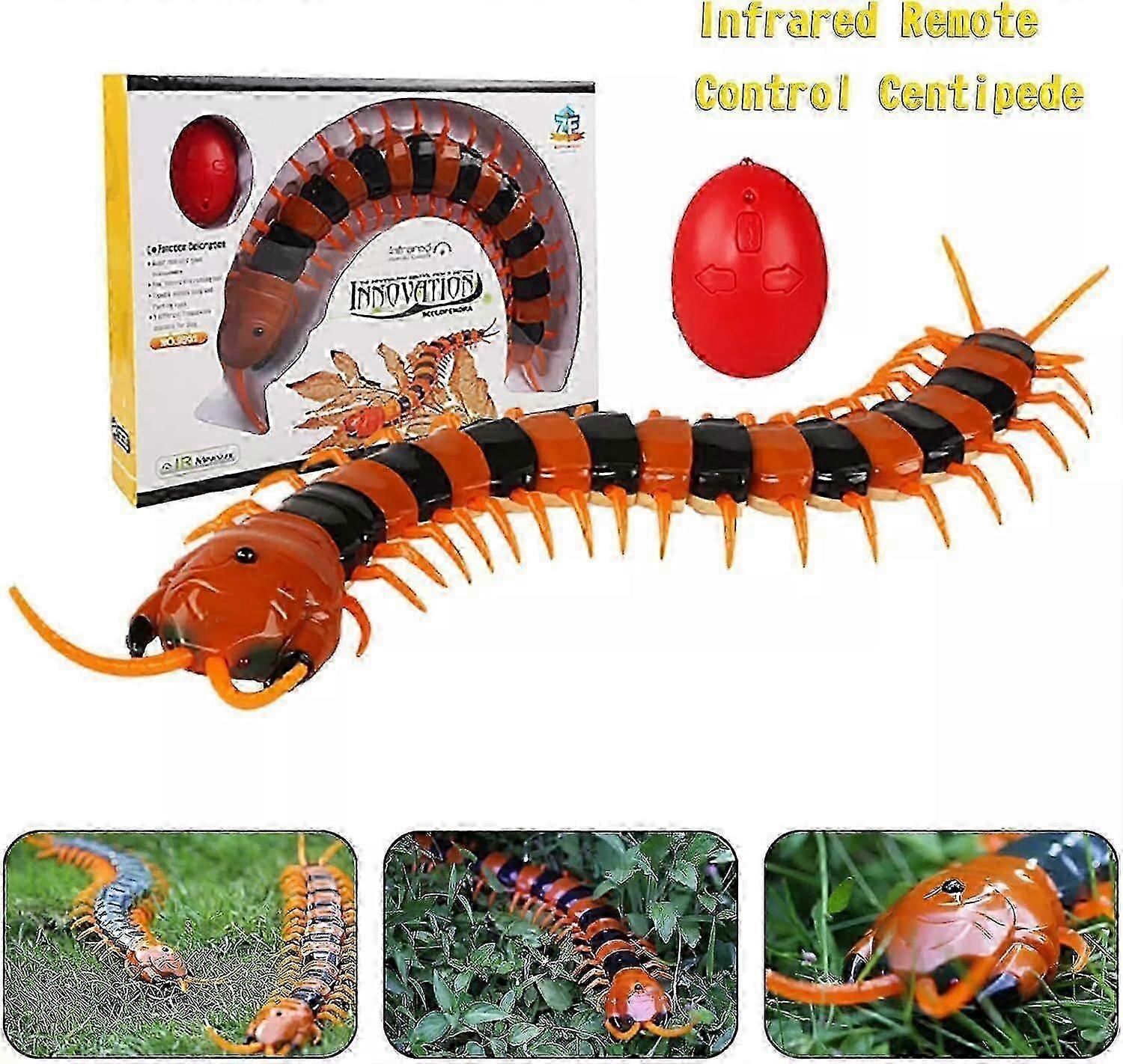 17.7-Inch Realistic Sensing Cat Centipede