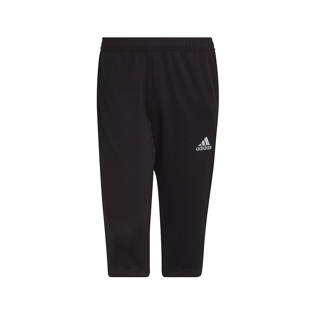 Adidas Entrada 22 HB0576 training all year men