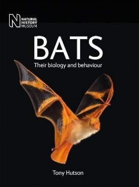 Bats by Tony Hutson Paperback