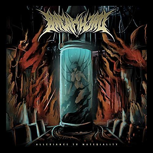 Various - Disappearance Of Materiality [CD]