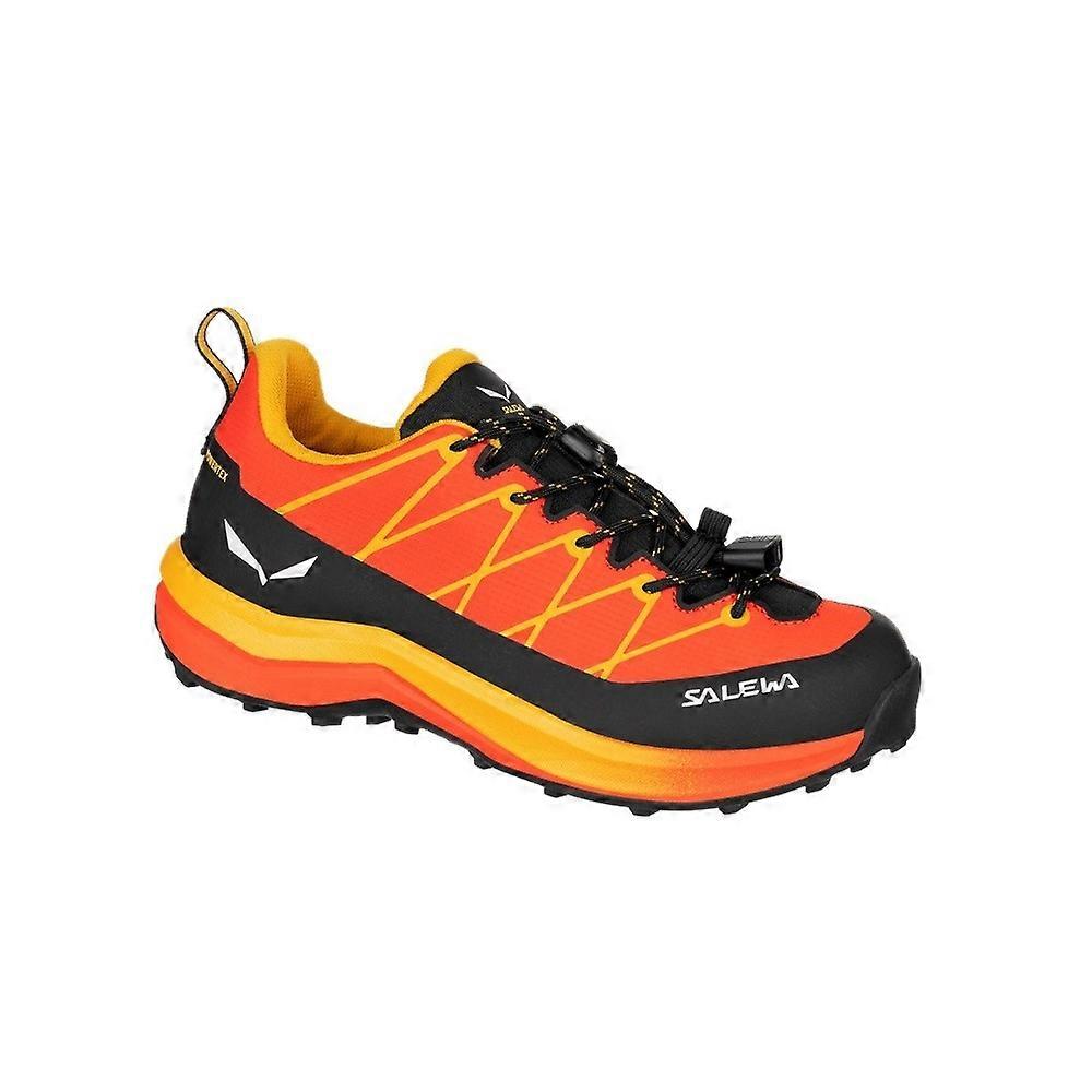 Shoes Salewa Wildfire 2 Ptx 640124156