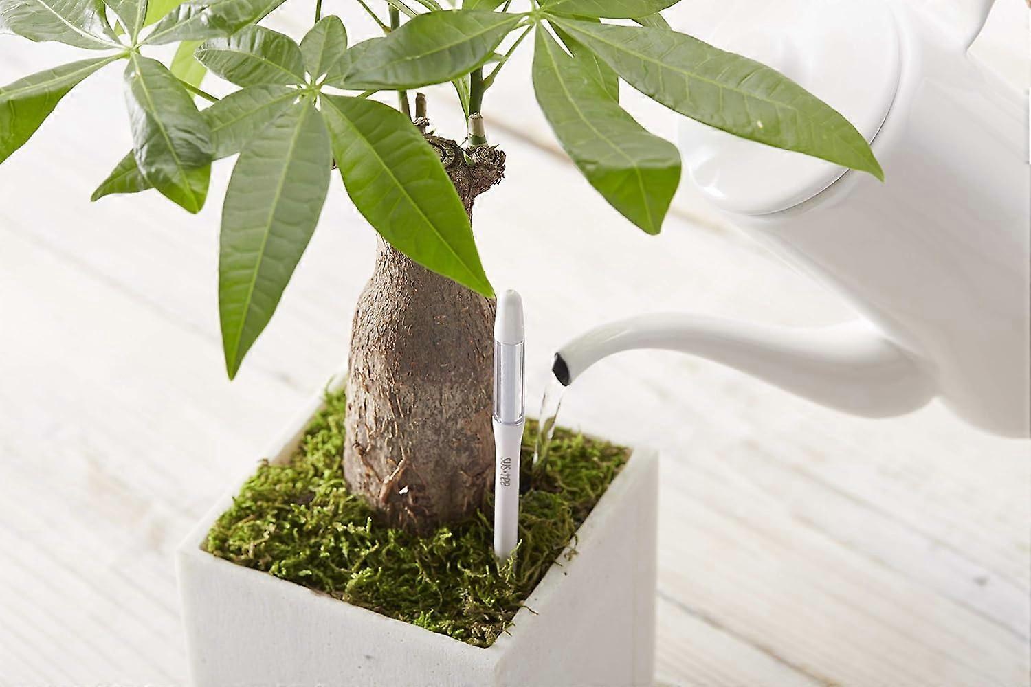 Plant Watering Indicator, Easy to Use, Prevent Plants from Withering, No Batteries Required, (Small, White)