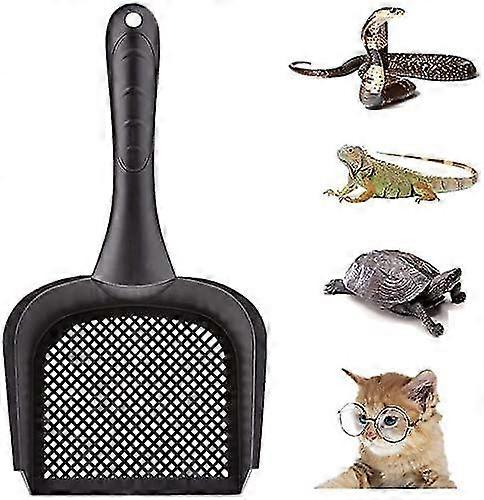 For Pink Spoon Chopstick Set 304 18/10 Reusable Chopsticks Spoon Kit for 4 People Sushi Chopsticks