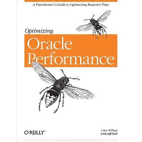 Optimizing Oracle Performance