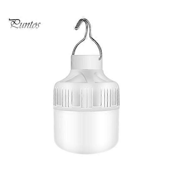LED Rechargeable Light Bulb Super Bright High Lumens Energy-saving 3 Modes Flicker Free Outdoor Indoor LED Light Bulb