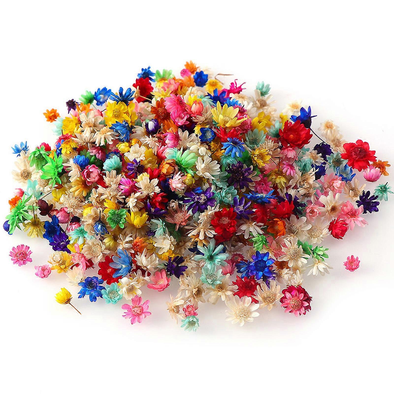 Epoksi Reçine Kalıpları Dolum için Kurutulmuş Preslenmiş Çiçekler,Scrapbooking DIY Sanat El Sanatları için Gerçek Preslenmiş Çiçekler, Takı Yapımı
