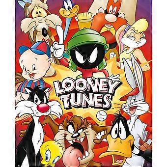 1000-teiliges Puzzle, Looney Tunes Puzzle-Stil 296