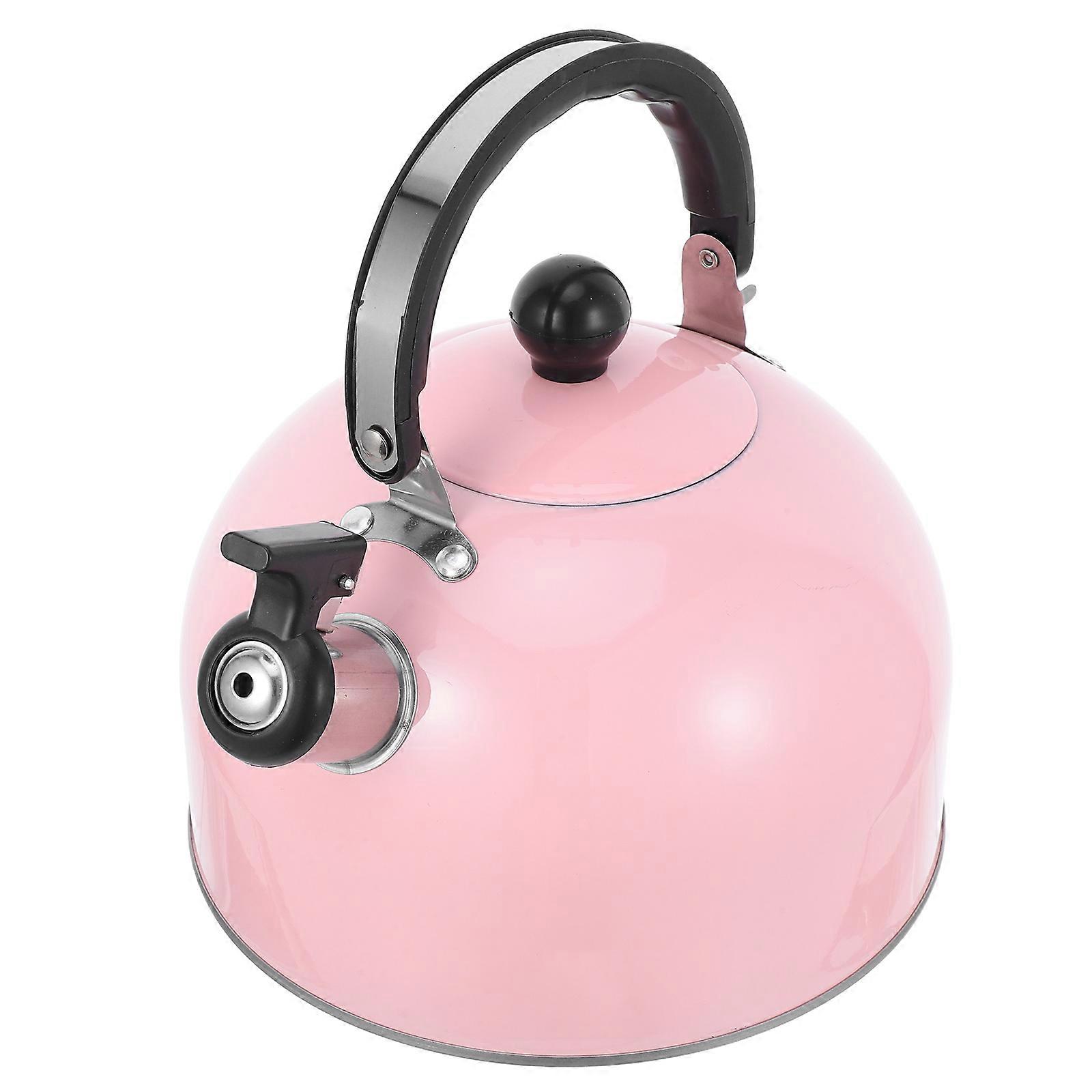 Stainless Steel Tea Kettle 3L For Apartment Use With Flat Bottom And Safe Handling 1Set