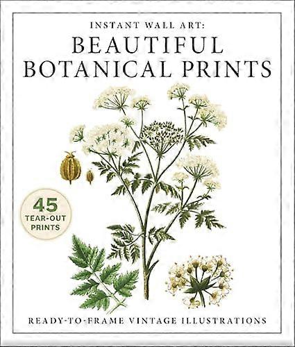Instant Wall Art: Beautiful Botanical Prints: Ready to Frame Vintage Illustrations